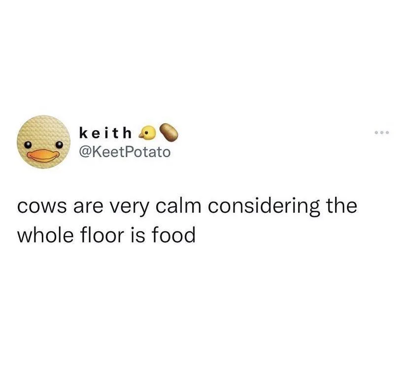 floor meme