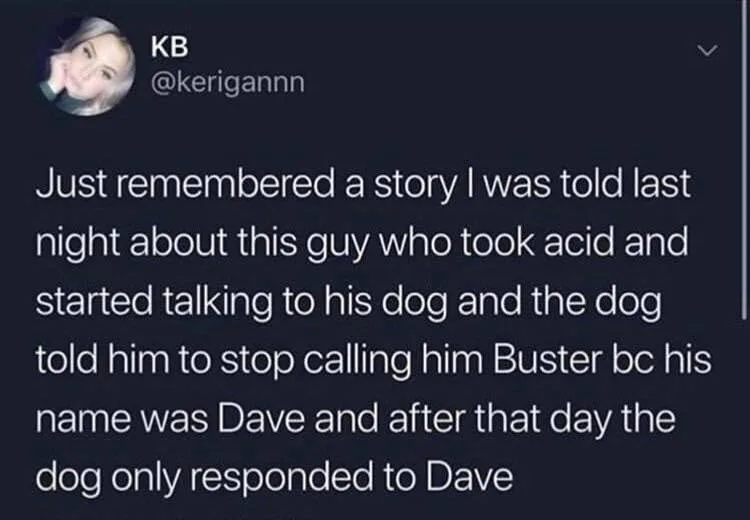 LSD meme