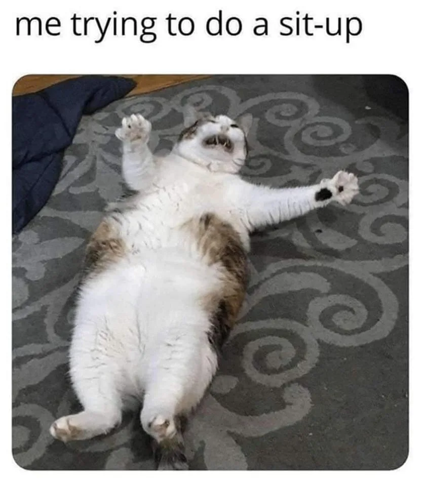 sit-up meme