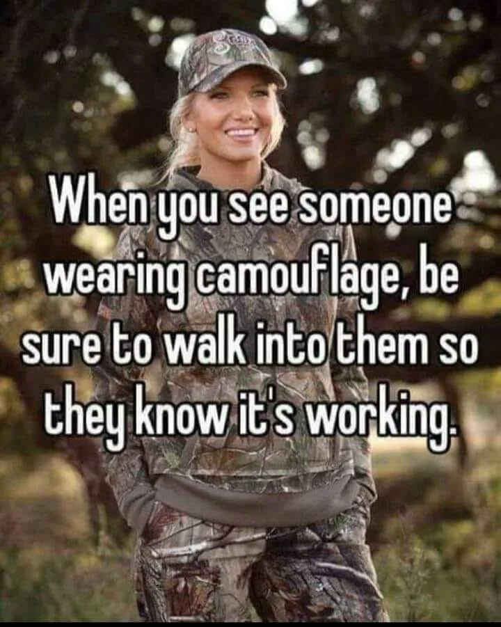 camouflage meme