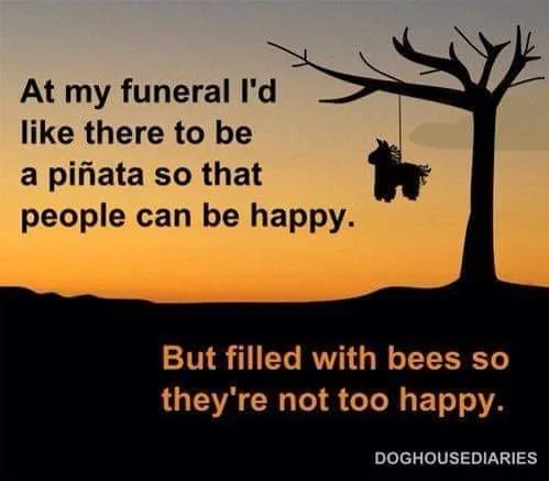 pinata meme