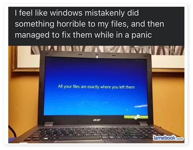 Microsoft Windows meme