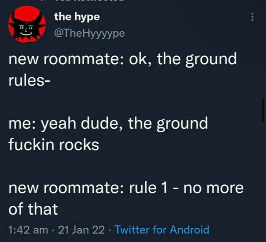 roommate meme