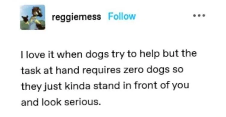 helping meme