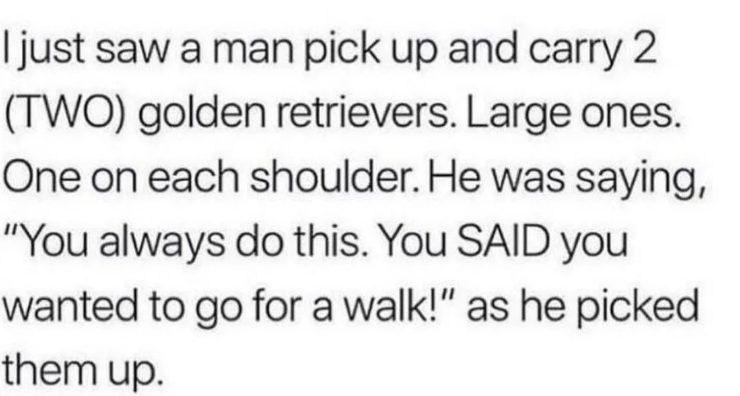 walking the dog meme