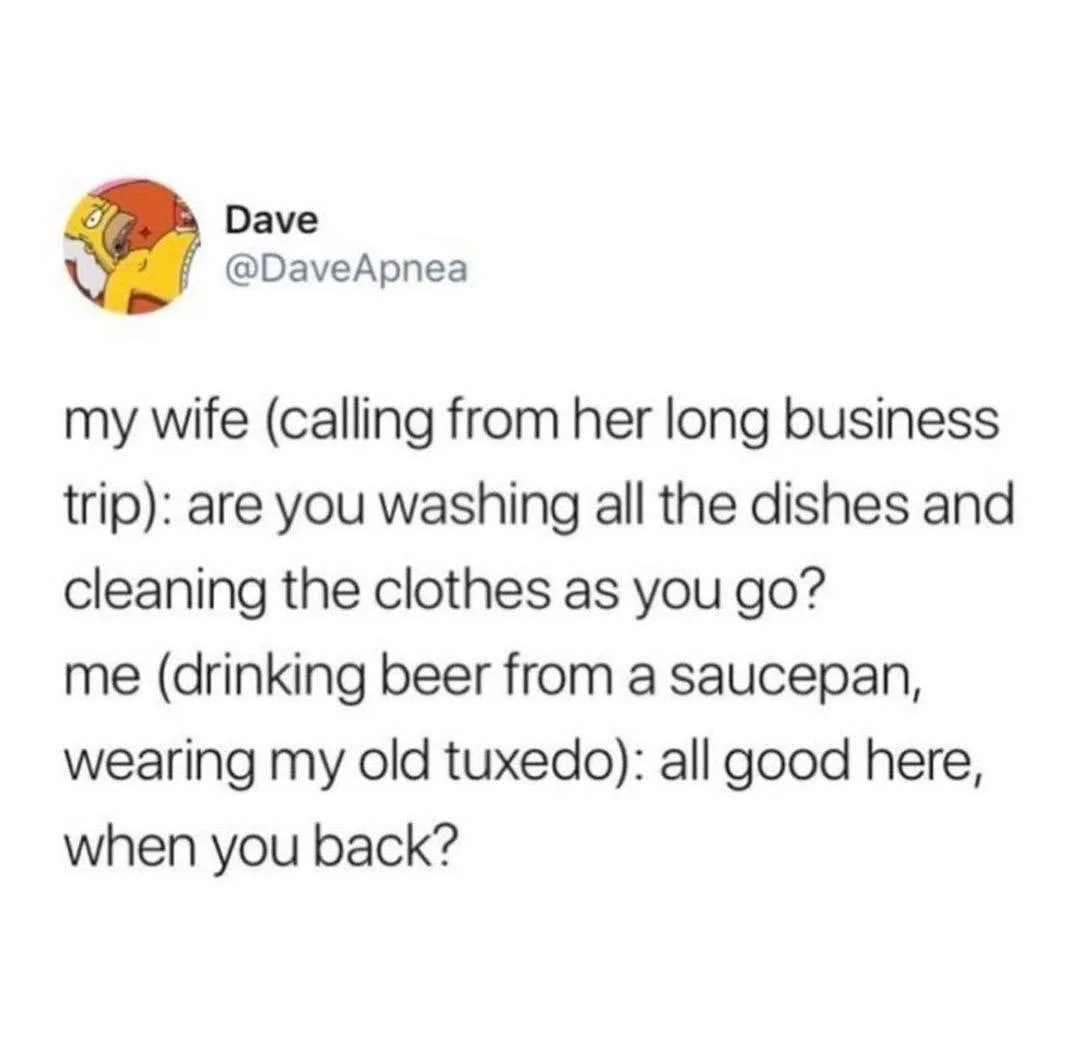 being home alone meme