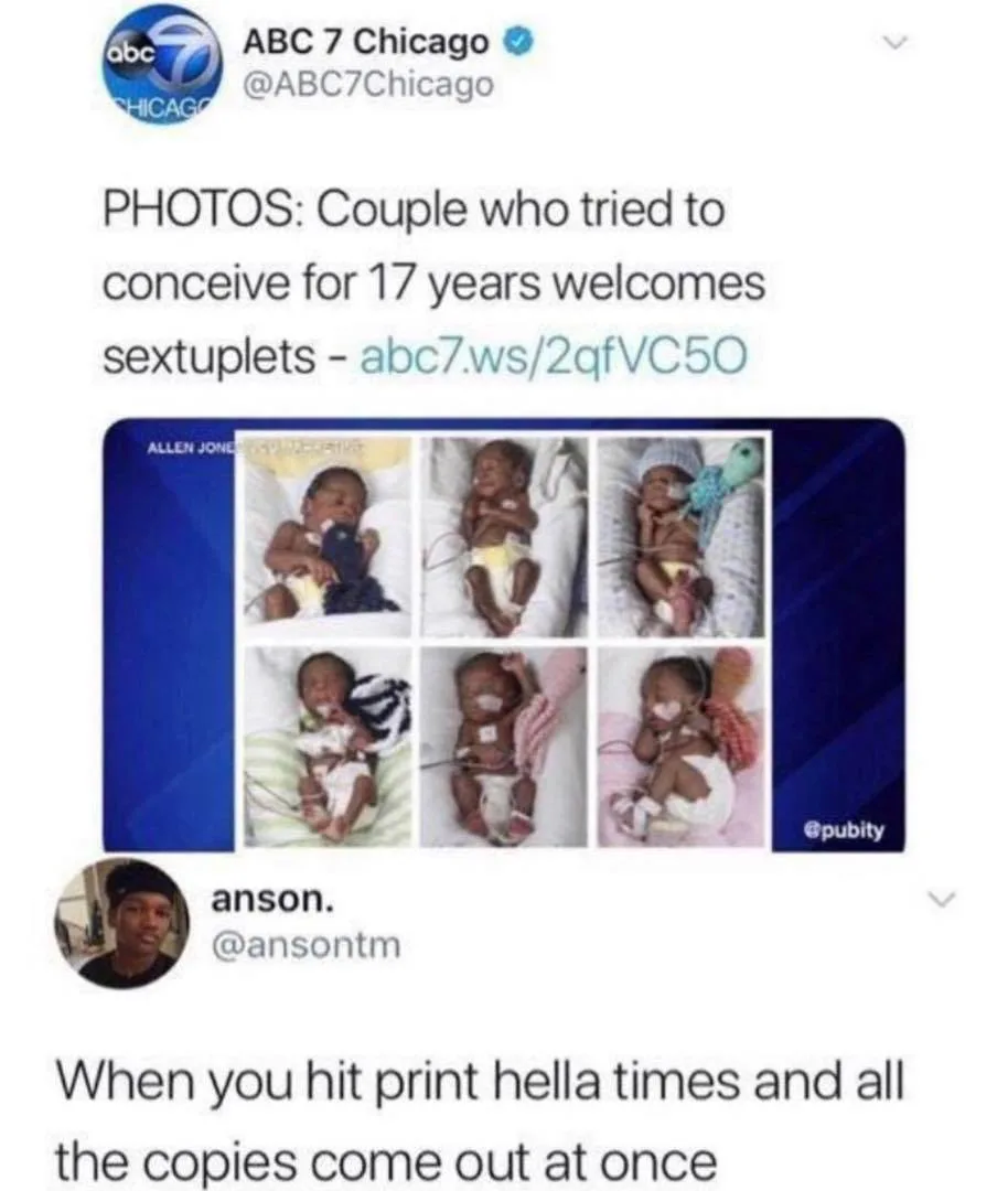 twin meme