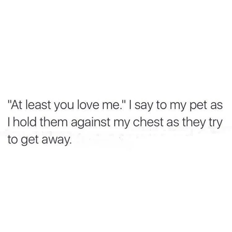 dog lover meme