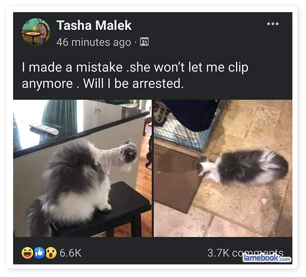haircut meme
