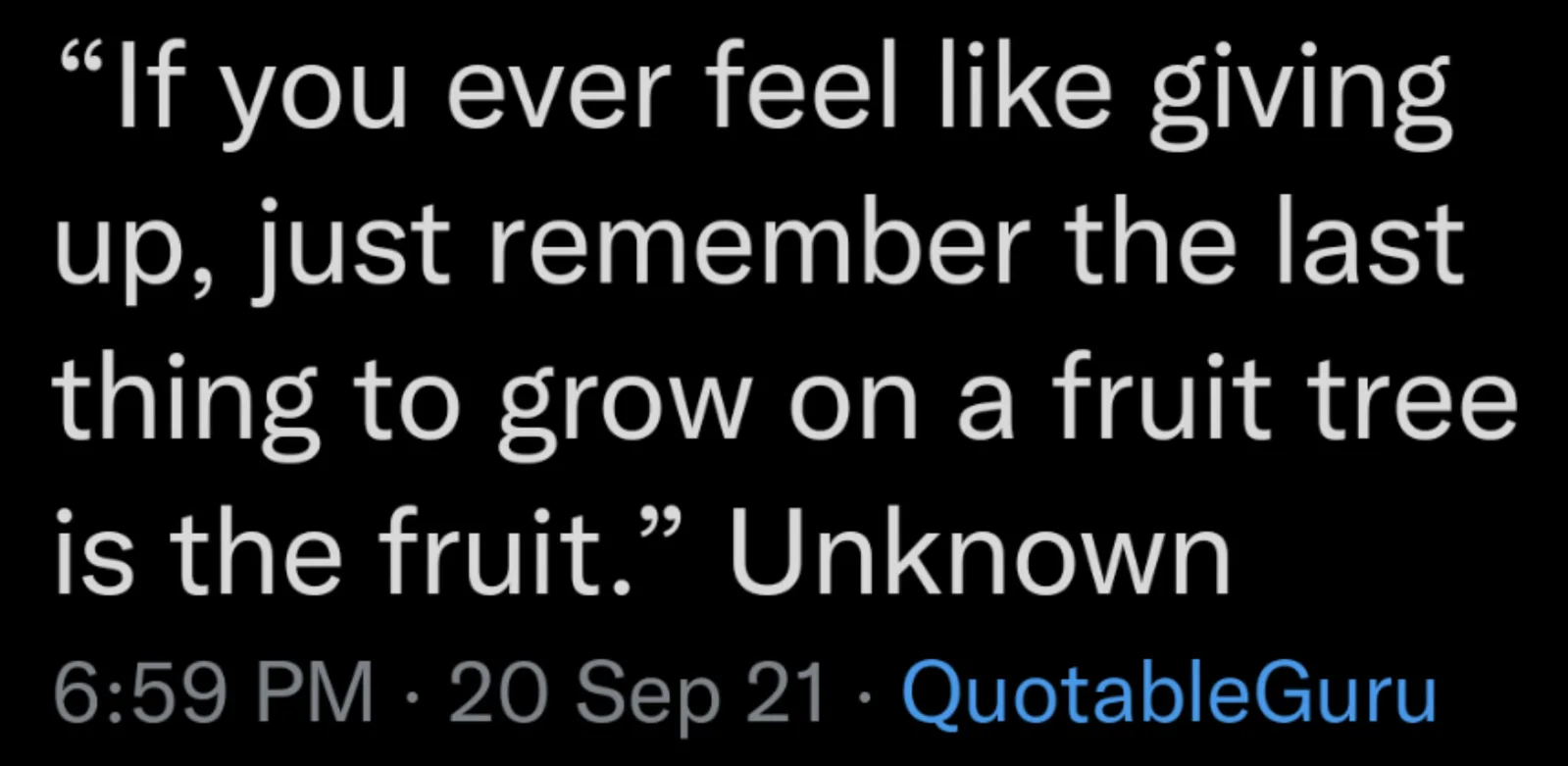 fruit meme