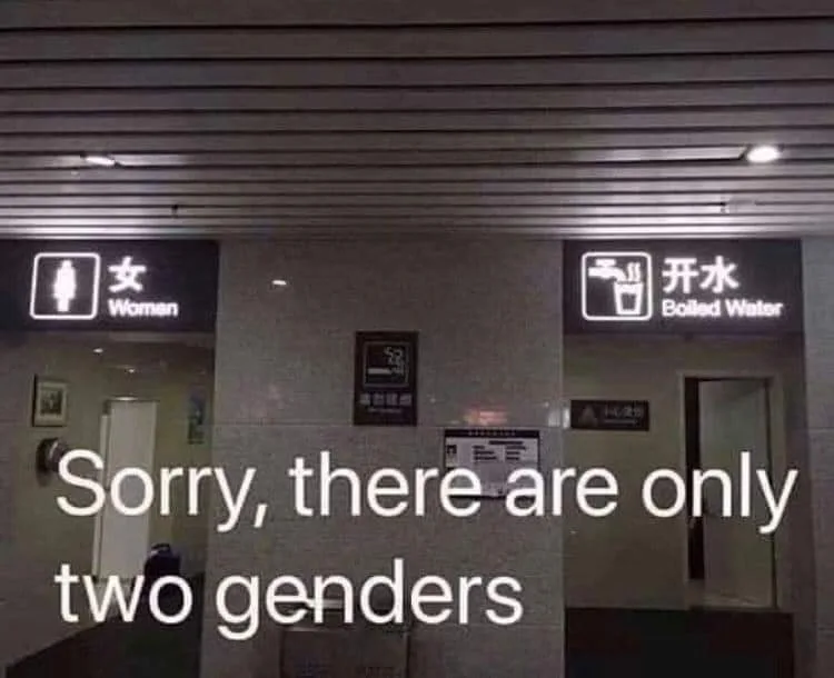 gender meme