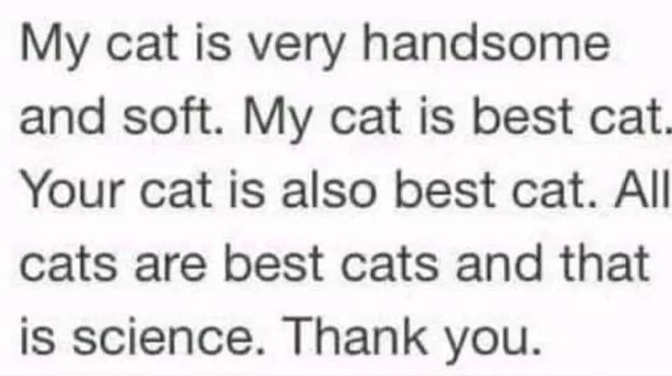 cat lover meme