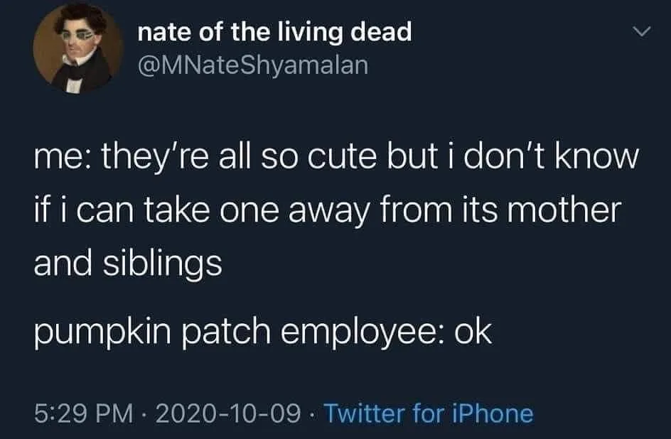 pumpkin meme