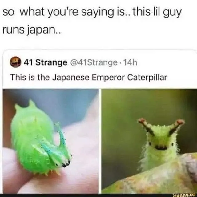 emperor meme