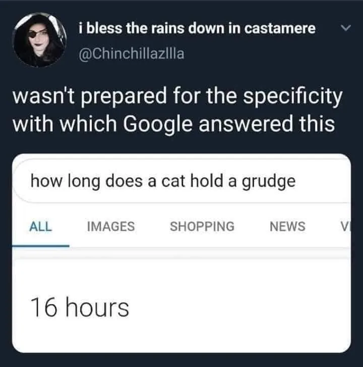 grudge meme