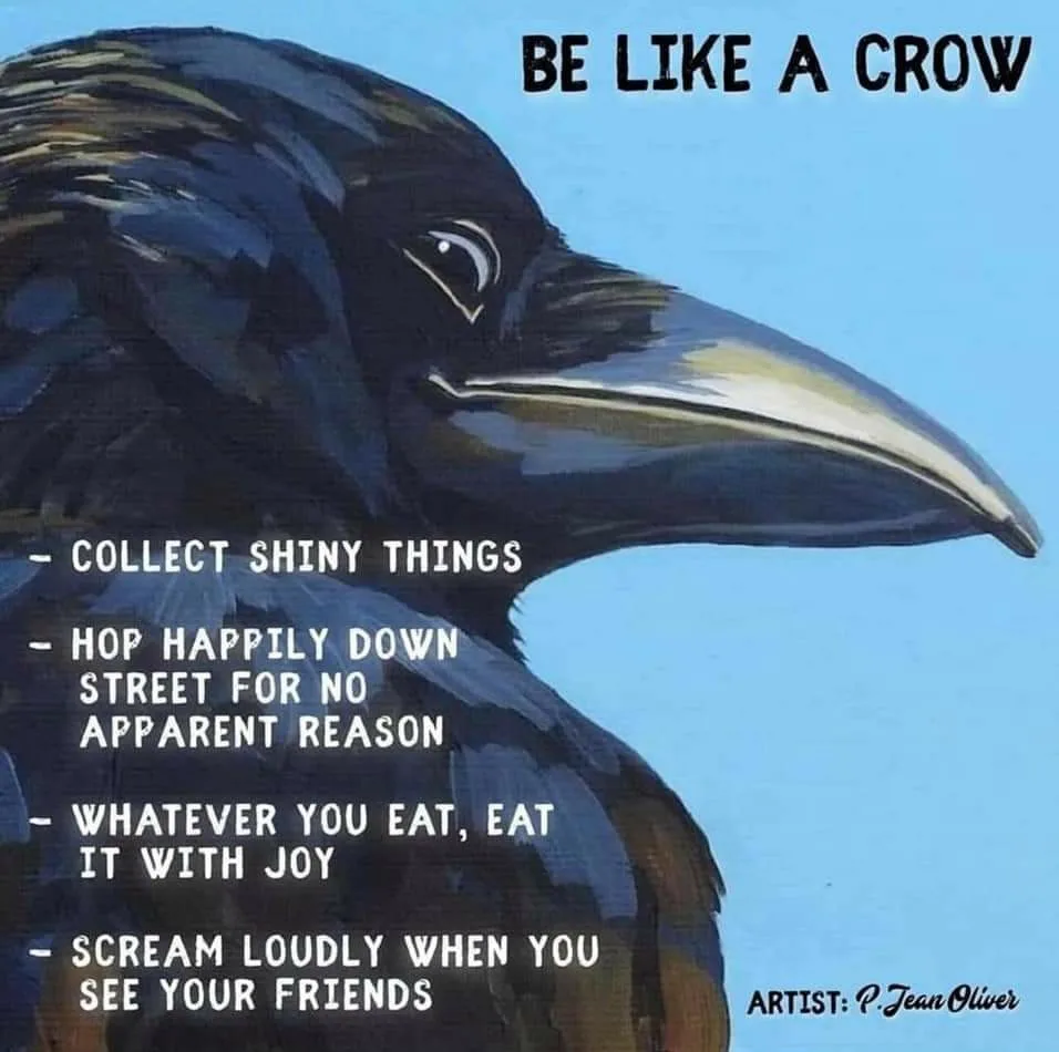 crow meme