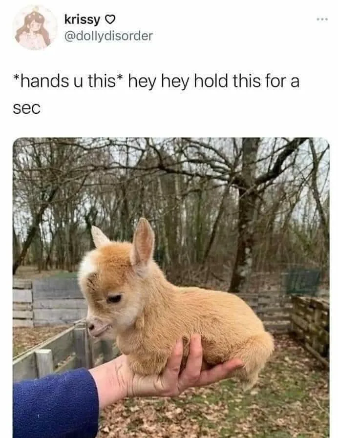 goat meme