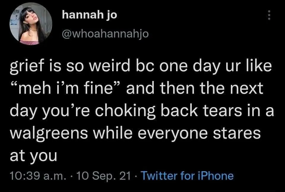 grief meme