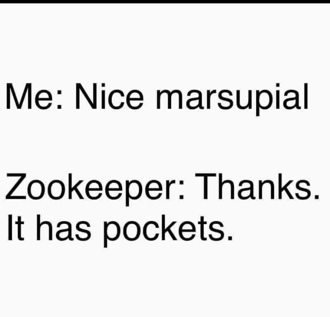 Marsupial meme