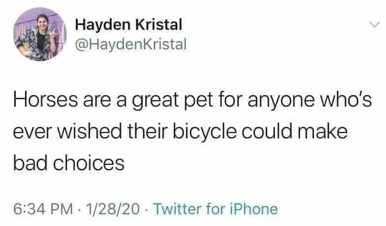 horse meme