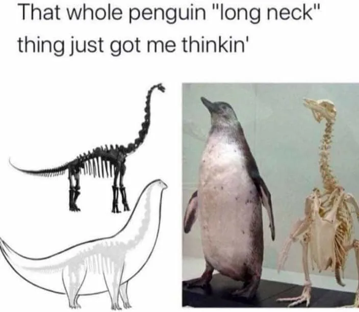 skeleton meme