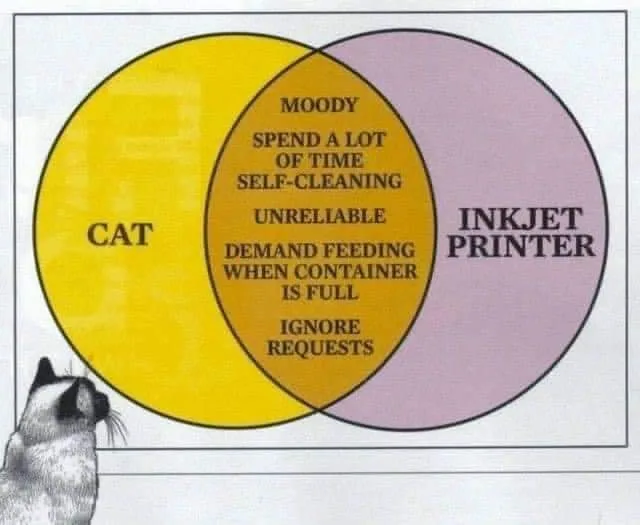 Venn Diagram meme