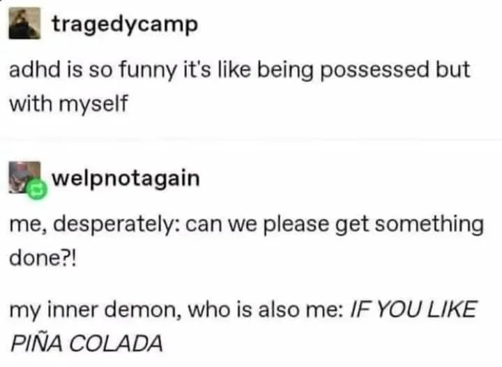 possession meme