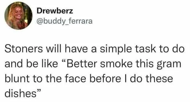 stoner meme