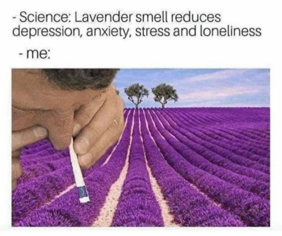 herb meme