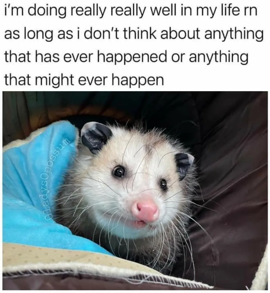 future meme