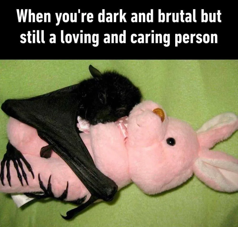 loving meme