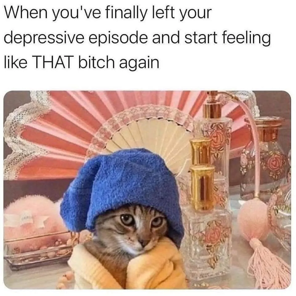 recovery meme