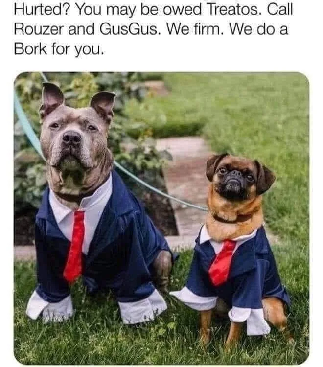 dog treat meme