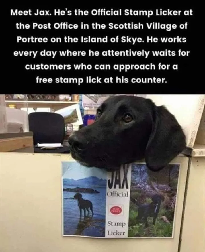 post office meme