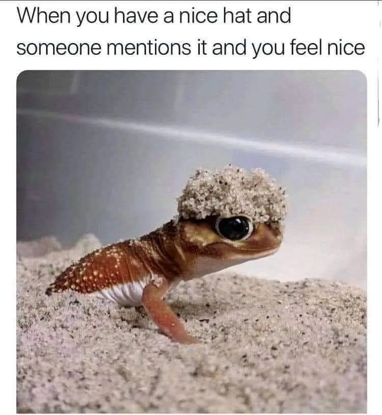 hat meme
