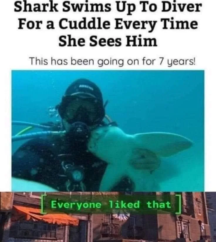 scuba diving meme