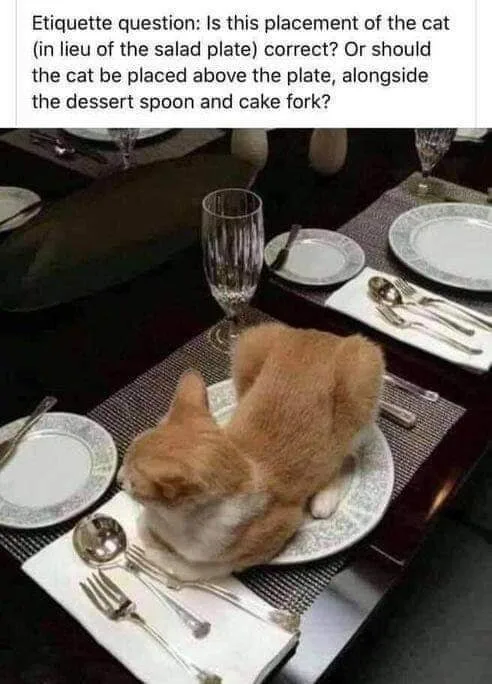 etiquette meme