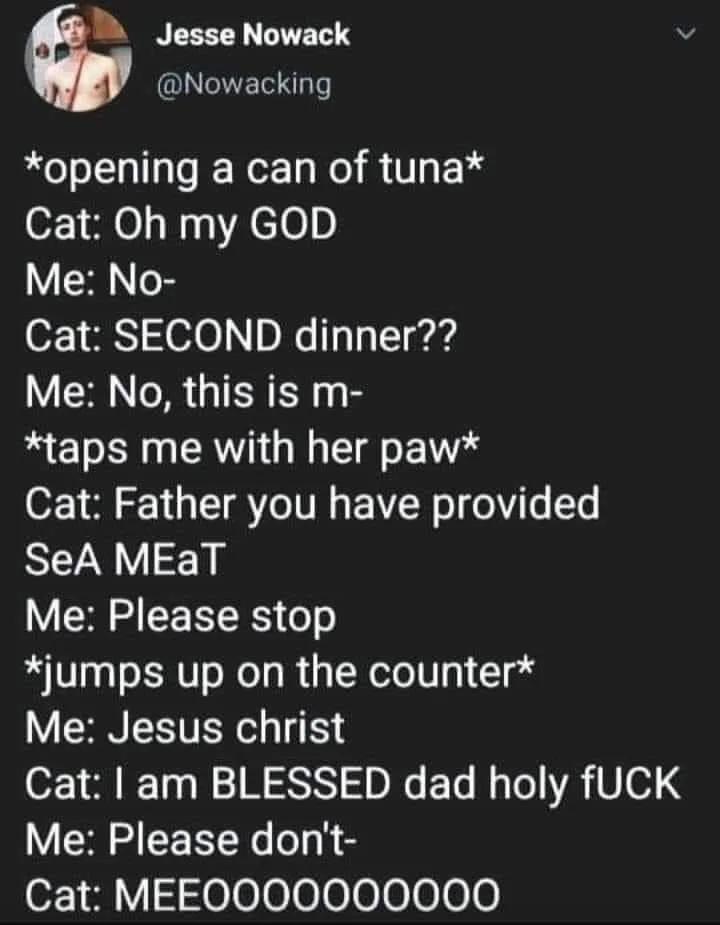 tuna fish meme