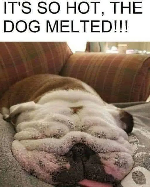 heat wave meme