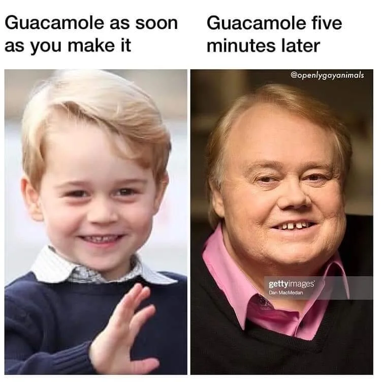 guacamole meme