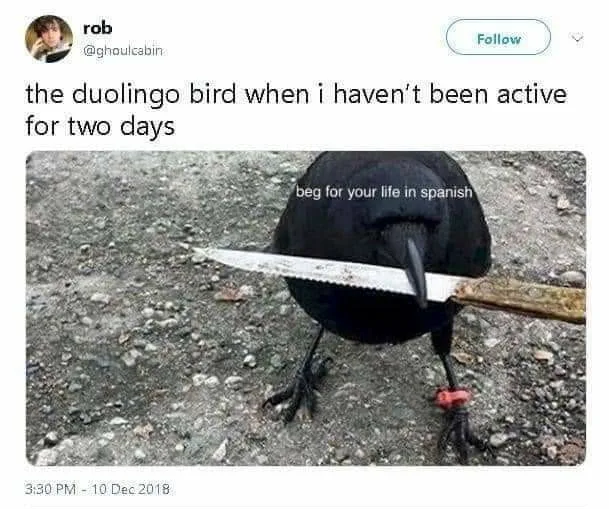 DuoLingo meme