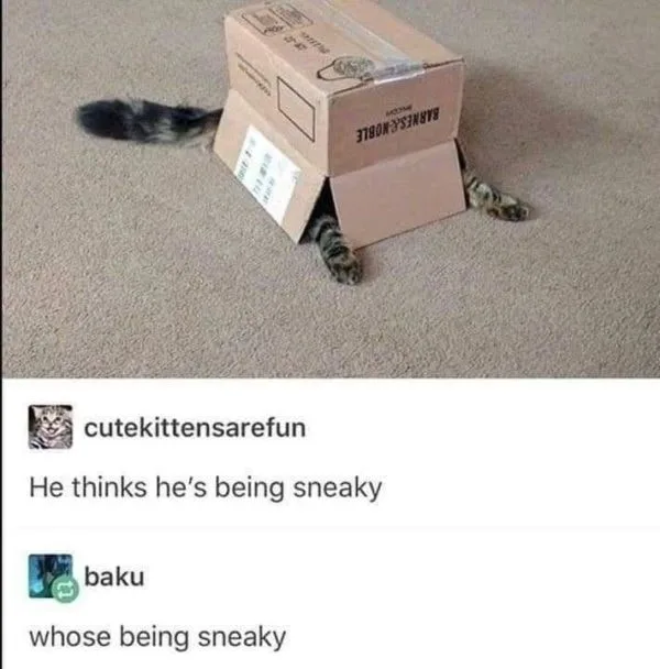 sneaking meme