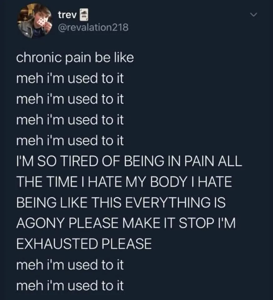 chronic pain meme