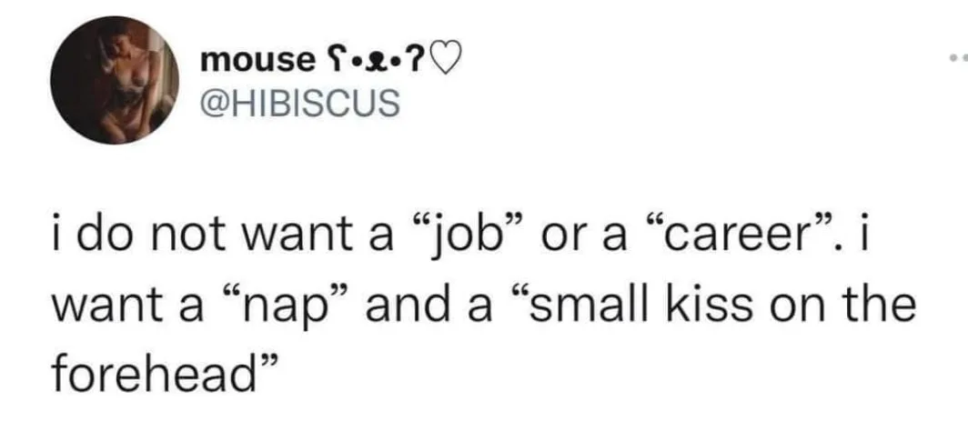 nap meme