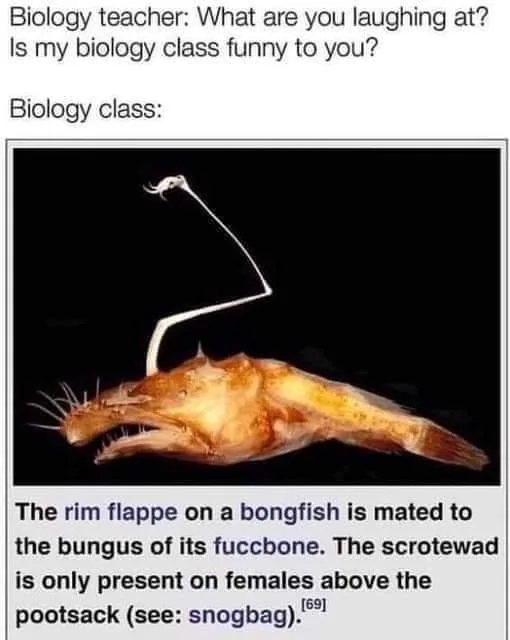 biology meme