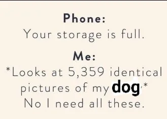 dog lover meme