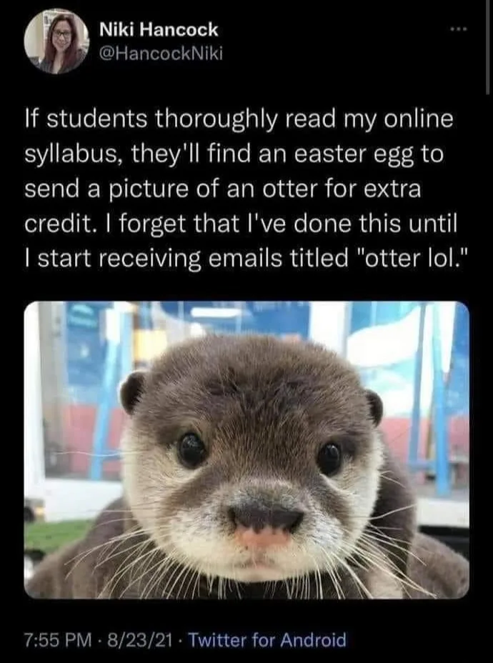 syllabus meme