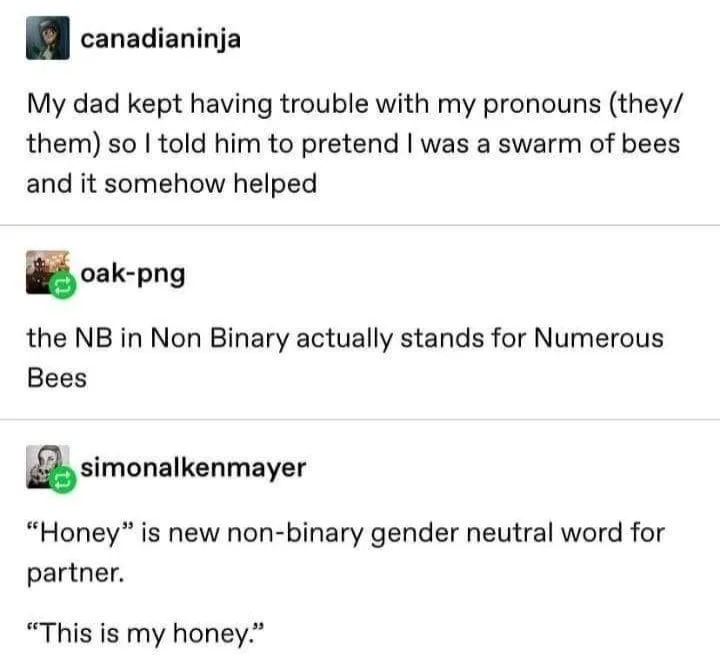 gender pronouns meme