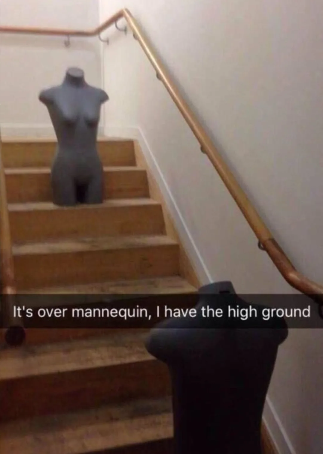 mannequin meme