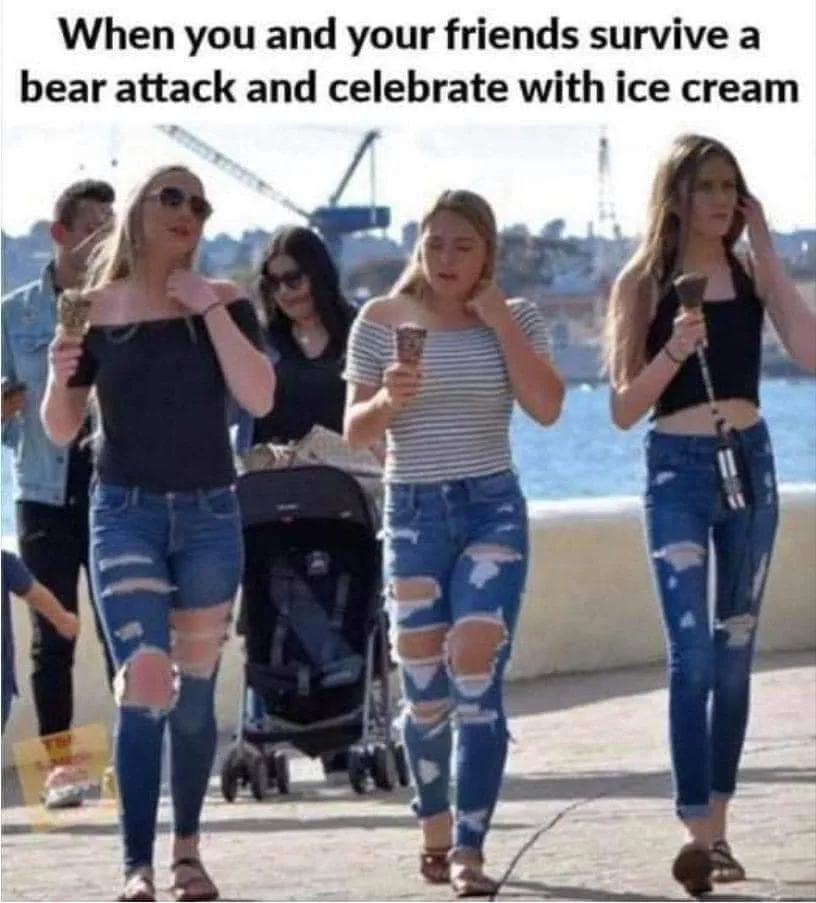 bear meme